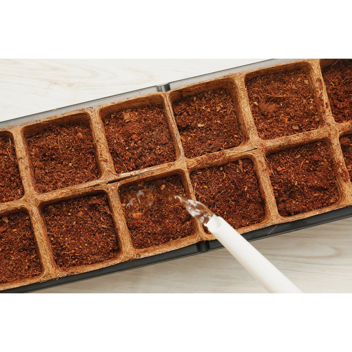 PlantBest 16-Cell Coir Seed Starter Kit Image 3