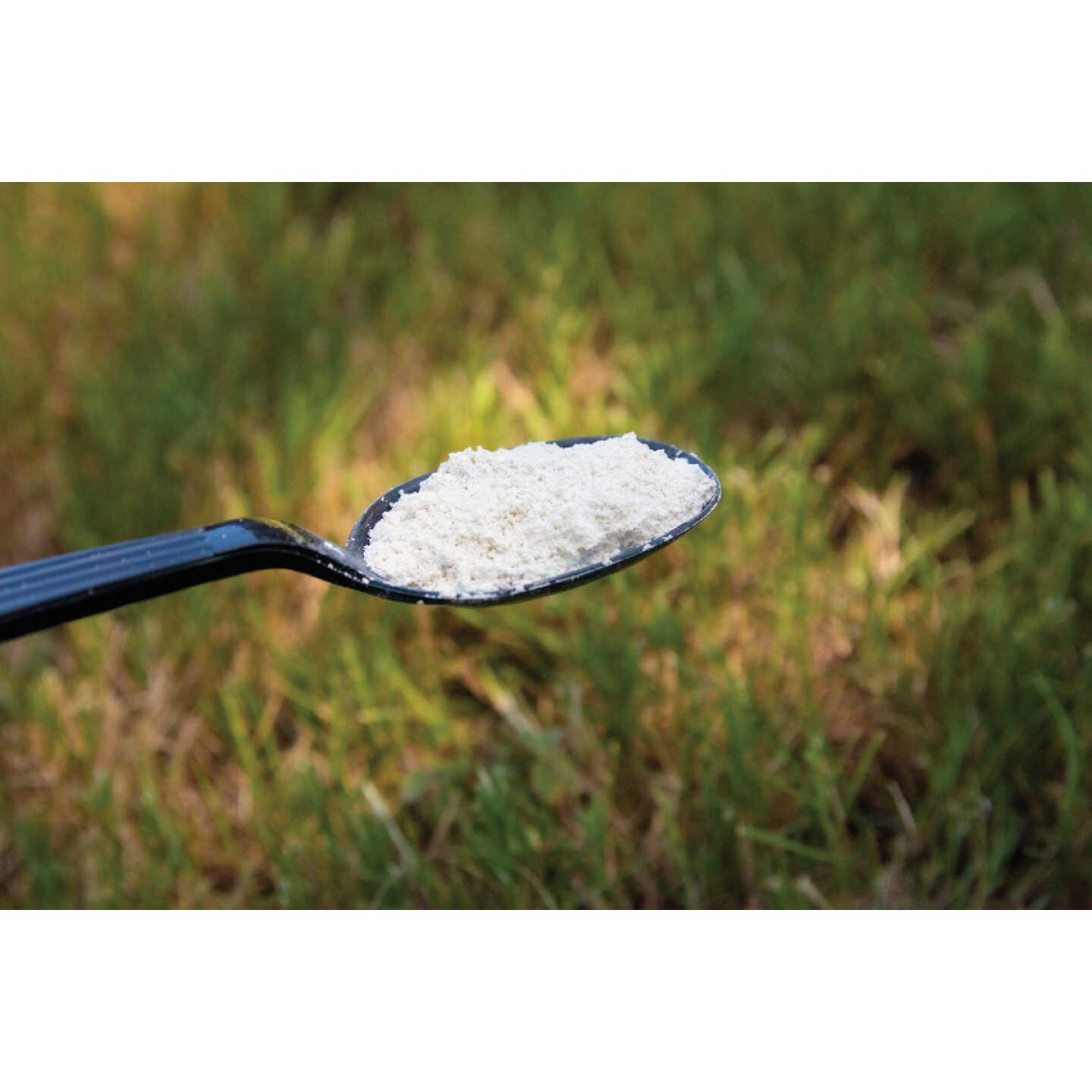 St. Gabriel Organics CoopScoop 20 Oz. Ready To Use Powder Food Grade Diatomaceous Earth Image 2