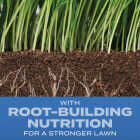 Scotts Turf Builder 5.6 Lb. 745 Sq. Ft. Sun & Shade Mix Grass Seed, Fertilizer, and Soil Improver Combination Image 2