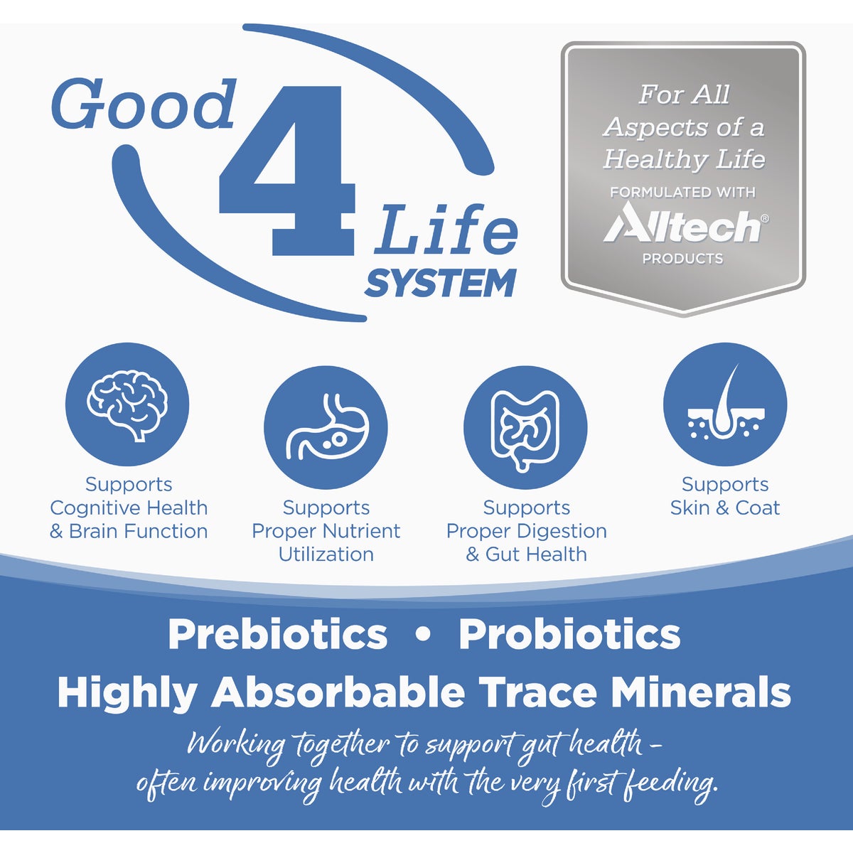 NutriSource 5.5 Oz. Chicken, Turkey, Lamb & Fish Recipe Cat & Kitten Food Image 4