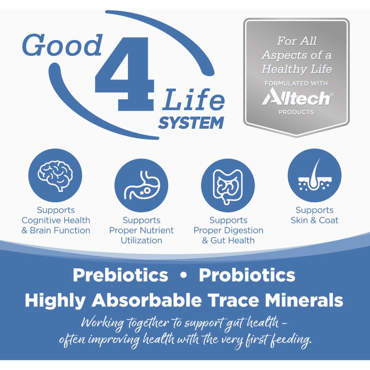 NutriSource 5.5 Oz. Chicken, Turkey, Lamb & Fish Recipe Cat & Kitten Food Image 4