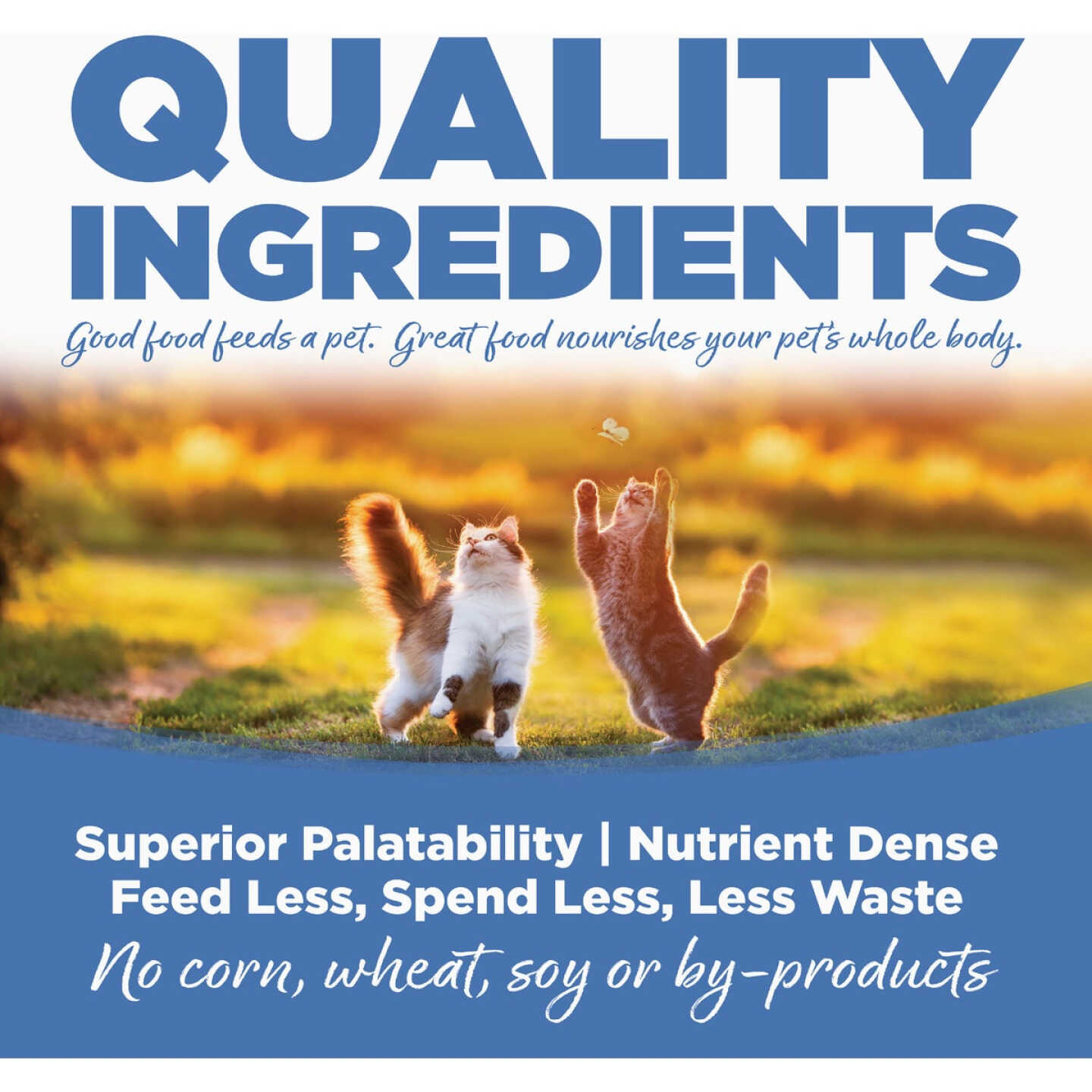 NutriSource 5.5 Oz. Chicken, Turkey, Lamb & Fish Recipe Cat & Kitten Food Image 5