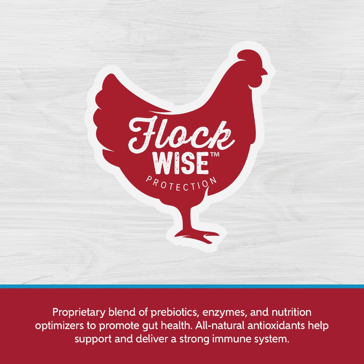 Kent Home Fresh Extra Egg Layer Free Range 40 Lb. Pellet Feed Image 4