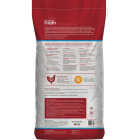 Kent Home Fresh Extra Egg Layer Free Range 40 Lb. Pellet Feed Image 7