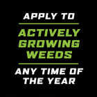 Ortho GroundClear 1 Gal. Wand Sprayer Weed & Grass Killer Image 5