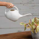 Novelty Root & Vessel 1/2 Gal. Pearl Deluxe Watering Can Image 2