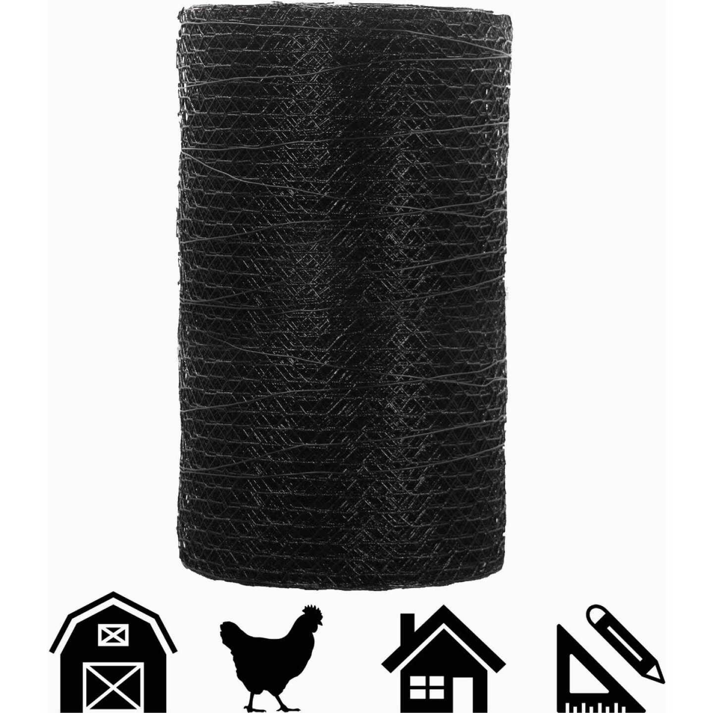 Acorn 1 In. x 24 In. H. x 150 Ft. L. Hexagonal Vinyl-Coated Wire Poultry Netting Image 3