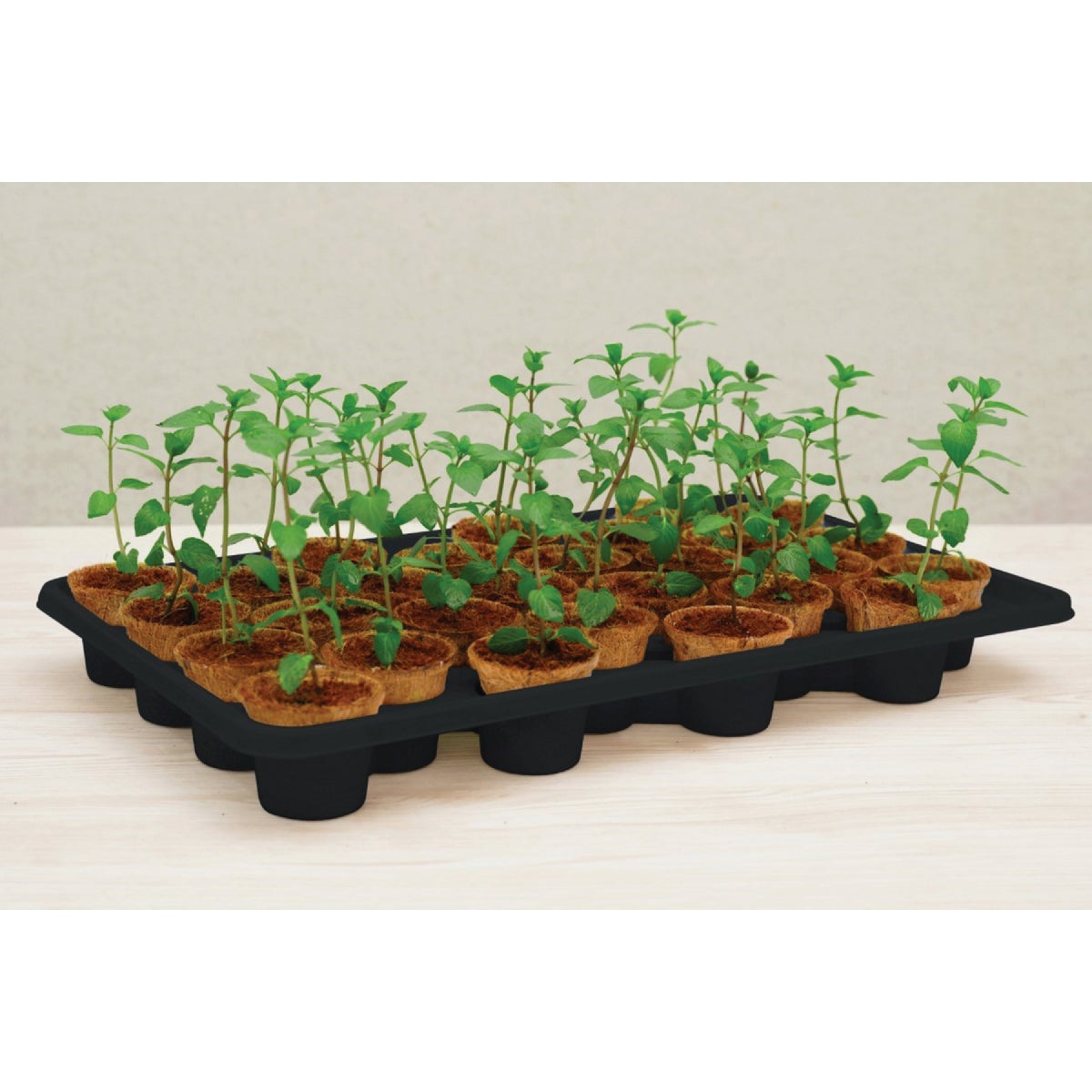 PlantBest 28-Pot Self-Watering Seed Starter Kit Image 5