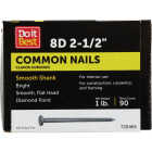 Do it 8d x 2-1/2 In. 10-1/2 ga Bright Common Nails (101-Count, 1 Lb.) Image 1