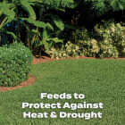 Scotts Turf Builder 14.06 Lb. 5000 Sq. Ft. Southern Lawn Food Image 4