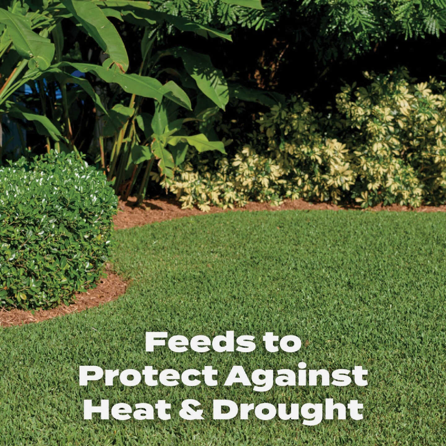 Scotts Turf Builder 14.06 Lb. 5000 Sq. Ft. Southern Lawn Food Image 4