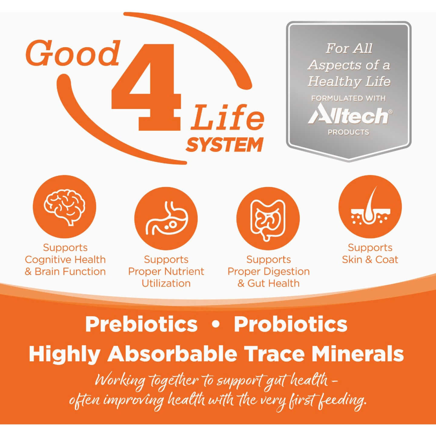 NutriSource 5.5 Oz. Grain Free Pork & Pork Liver Select Cat Food Image 6