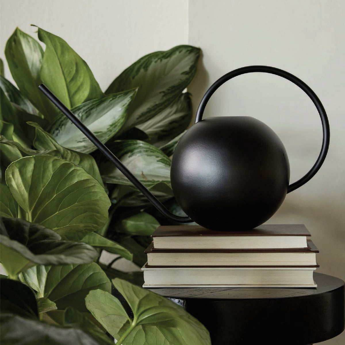 Bloem Fresca 84 Oz. Black Watering Can Image 2