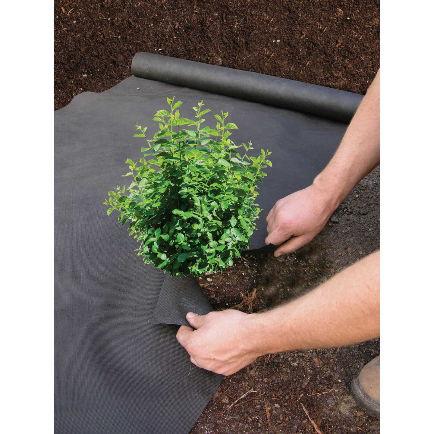 DeWitt Weed Barrier 3 Ft. W. x 100 Ft. L. Pointbond Polyproylene 5-Year Basic Weed Control Landscape Fabric Image 2