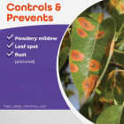 Bonide 4 Lb. Ready To Use Micronized Spray or Dust Sulfur Plant Fungicide Image 4