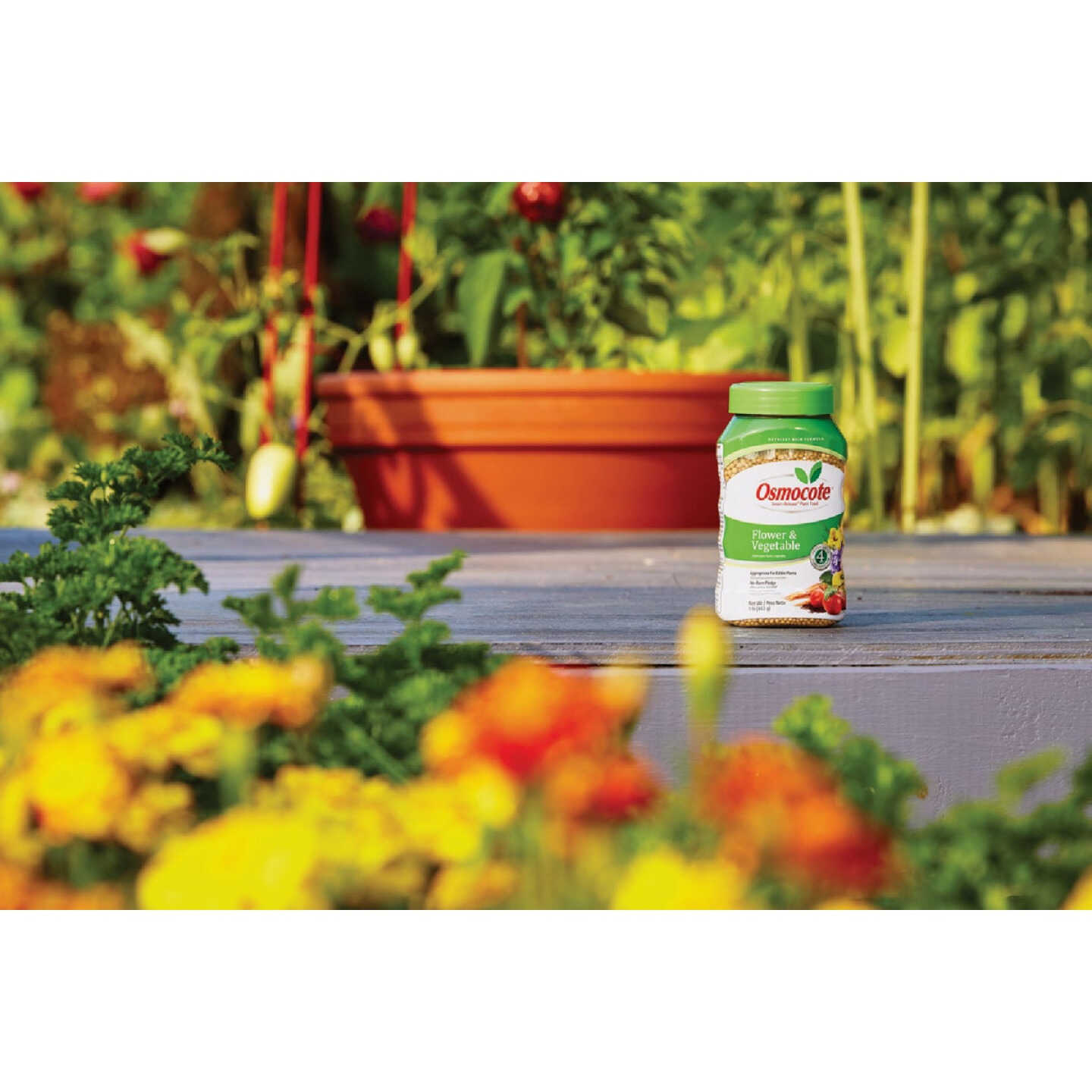 Osmocote Smart-Release 1 Lb. Flower & Vegetable Plant Food Image 5