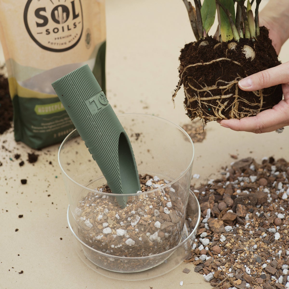 Sol Soils Repotting Scoop Image 5