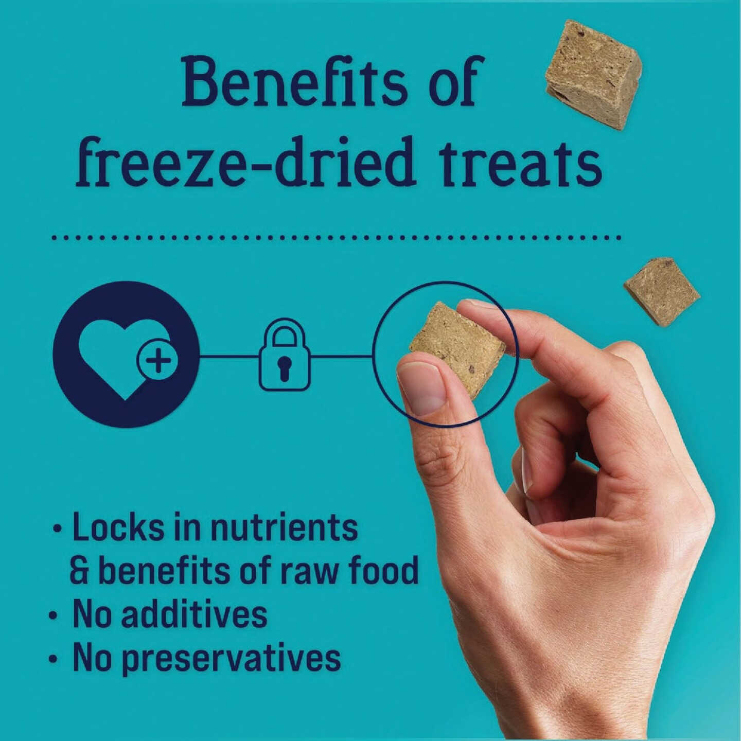Stewart 8 Oz. Freeze-Dried Beef Liver Dog Treats Image 4