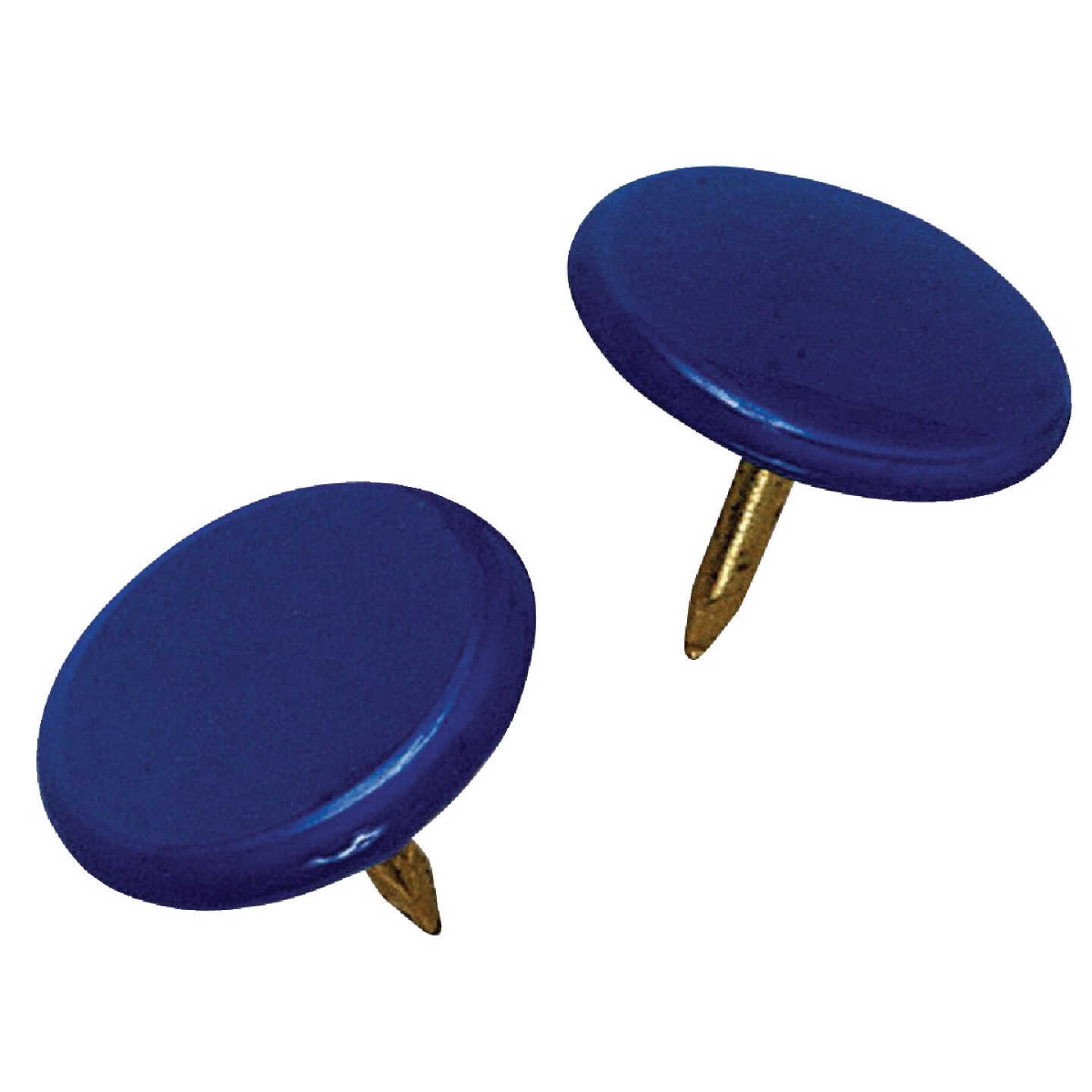 Hillman Anchor Wire Blue 23/64 In. x 15/64 In. Thumb Tack (40 Ct.) Image 4