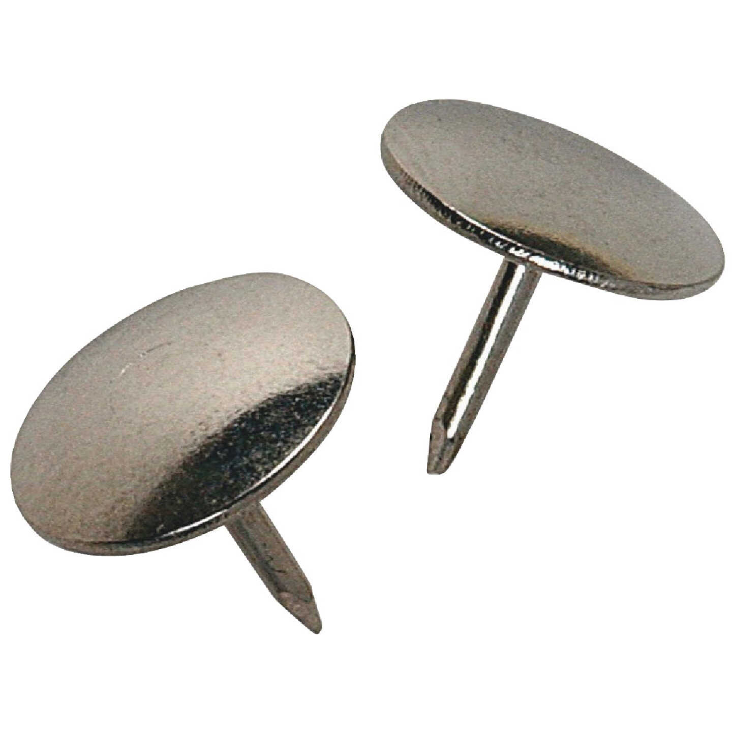 Hillman Anchor Wire Nickel 23/64 In. x 15/64 In. Thumb Tack (40 Ct.) Image 4