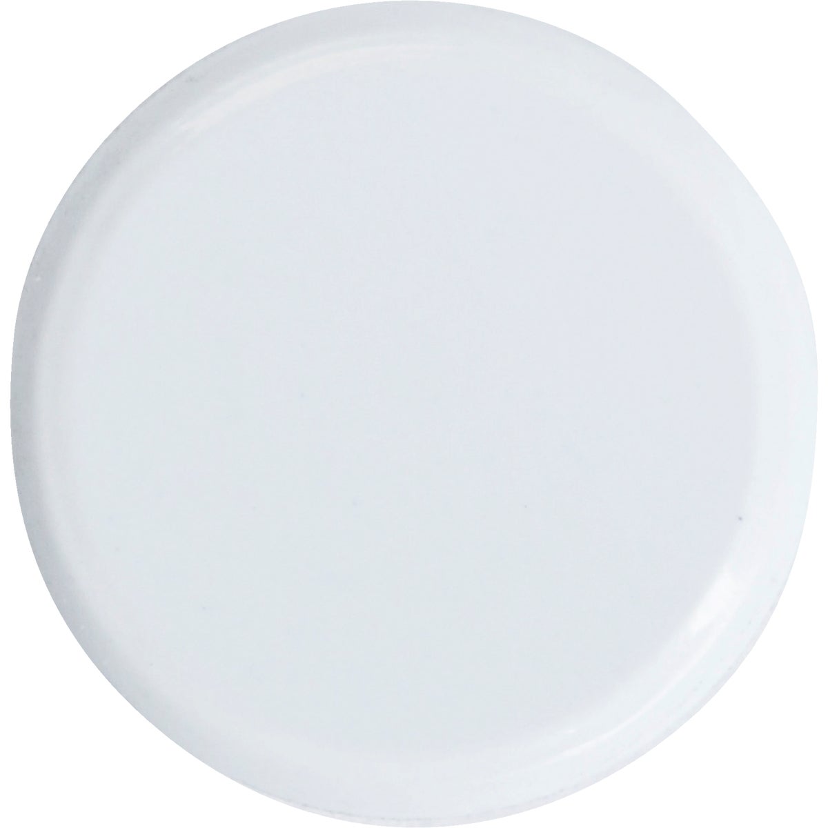 Hillman Anchor Wire White 23/64 In. x 15/64 In. Thumb Tack (40 Ct.) Image 3