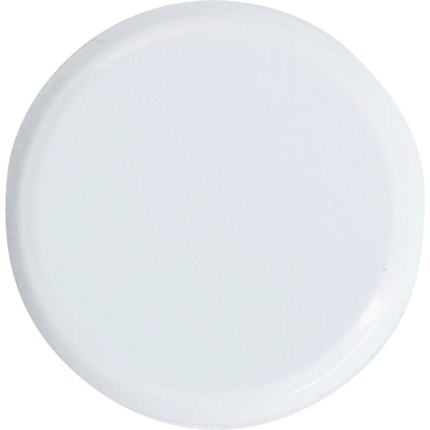 Hillman Anchor Wire White 23/64 In. x 15/64 In. Thumb Tack (40 Ct.) Image 3