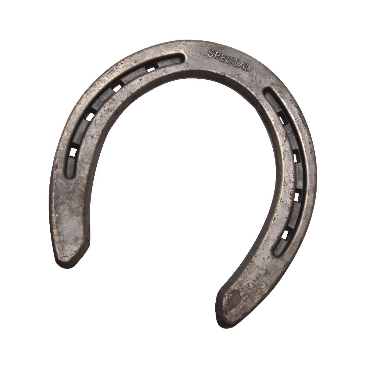 10PR PLN SPECL HORSEHOE