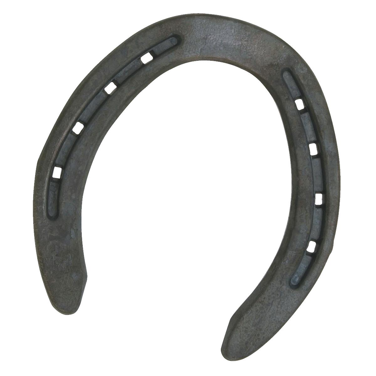 20PR HIND HORSESHOE