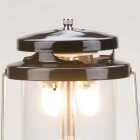 Coleman 1000 Lm. Deluxe Propane Lantern with Carry Case Image 3