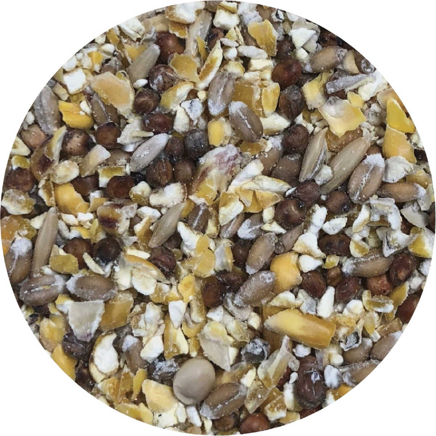 Pecking Order 5 Lb Dessert Bucket Mealworm Sprinkles Image 2