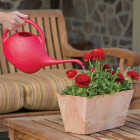 Novelty Root & Vessel 1/2 Gal. Red Deluxe Watering Can Image 2