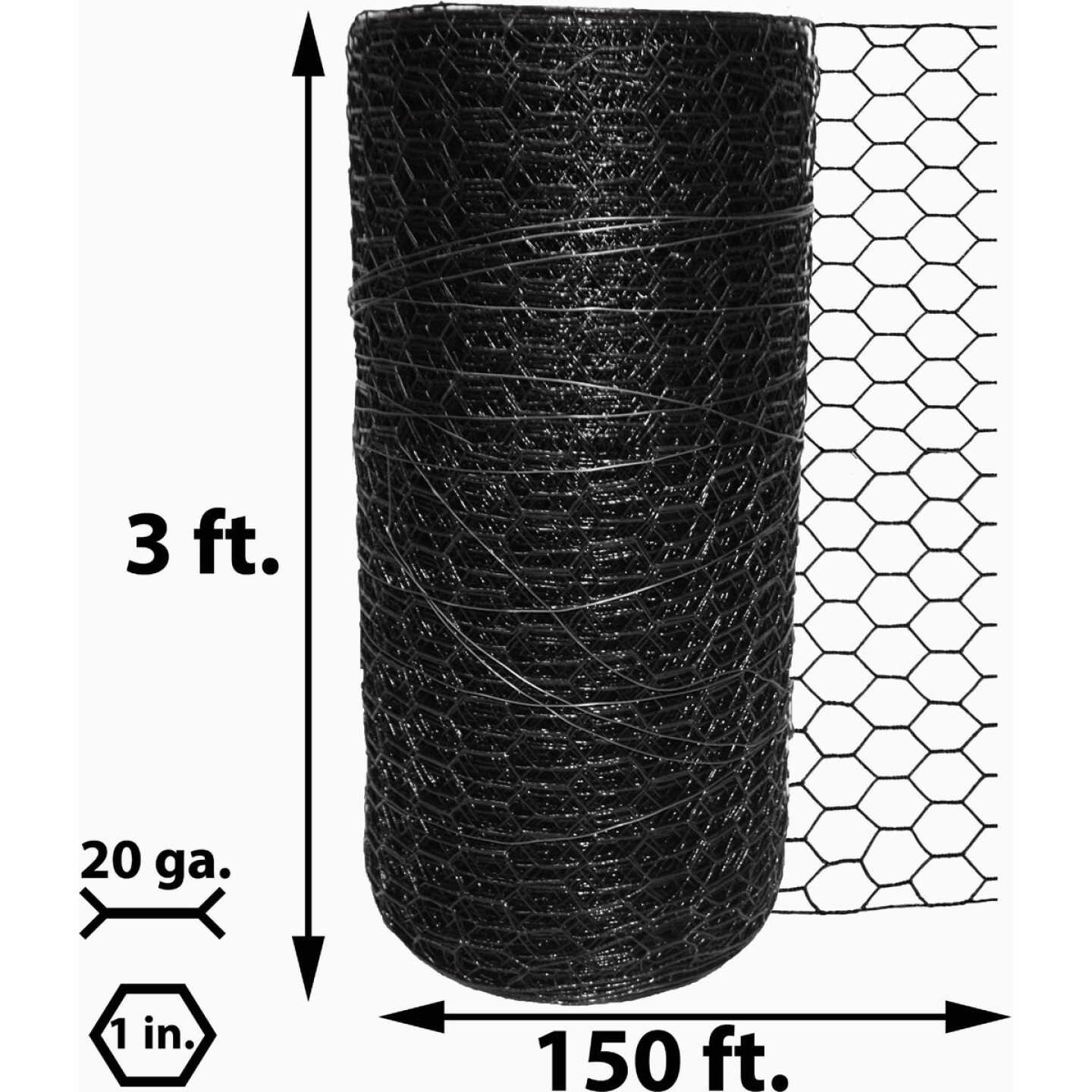 Acorn 1 In. x 36 In. H. x 150 Ft. L. Hexagonal Vinyl-Coated Wire Poultry Netting Image 2