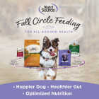 NutriSource Big Bites Beef 14 Oz. Grain Free Dog Treat Image 4