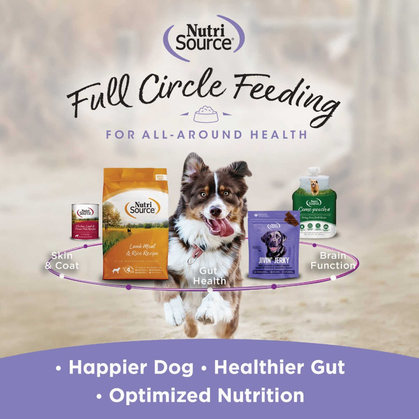NutriSource Big Bites Beef 14 Oz. Grain Free Dog Treat Image 4