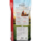 Kent Home Fresh Extra Egg Layer + Omega 50 Lb. Pellet Feed Image 6