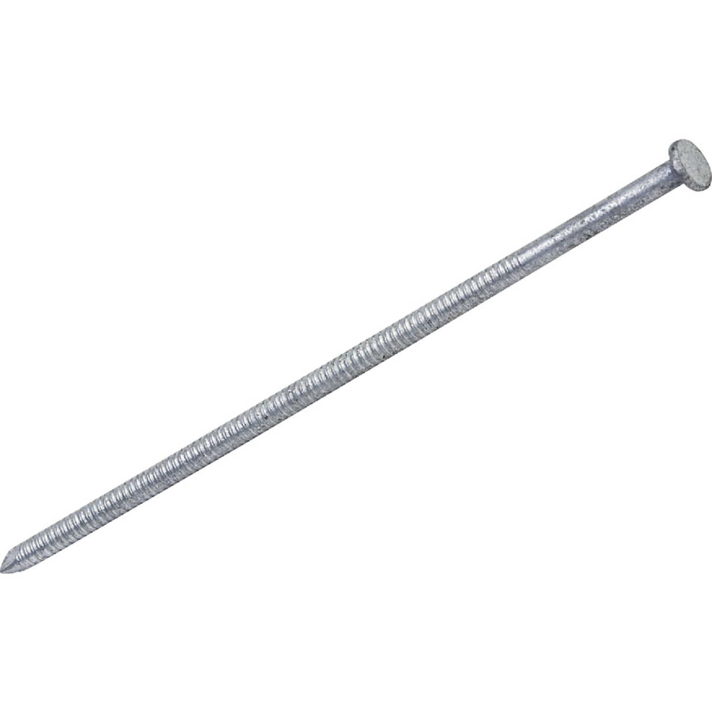 Do it Best 4 In. x 7 ga x 20d Hot Galvanized Ring Shank Pole Barn Nails (1050-Count, 30 Lb.) Image 1