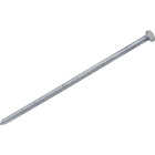 Do it Best 6 In. x 5 ga x 60d Hot Galvanized Ring Shank Pole Barn Nails (510-Count, 30 Lb.) Image 1
