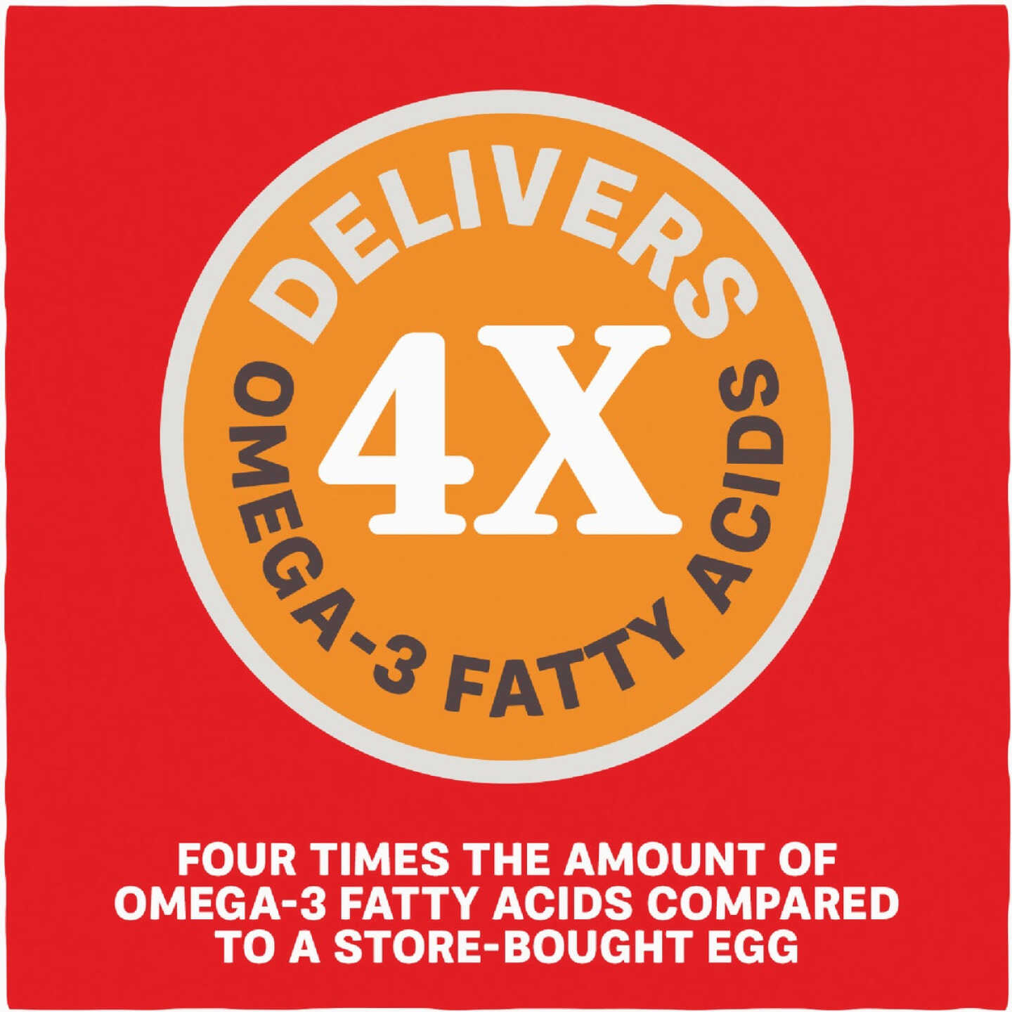 Kent Home Fresh Extra Egg Layer + Omega 50 Lb. Crumble Feed Image 5
