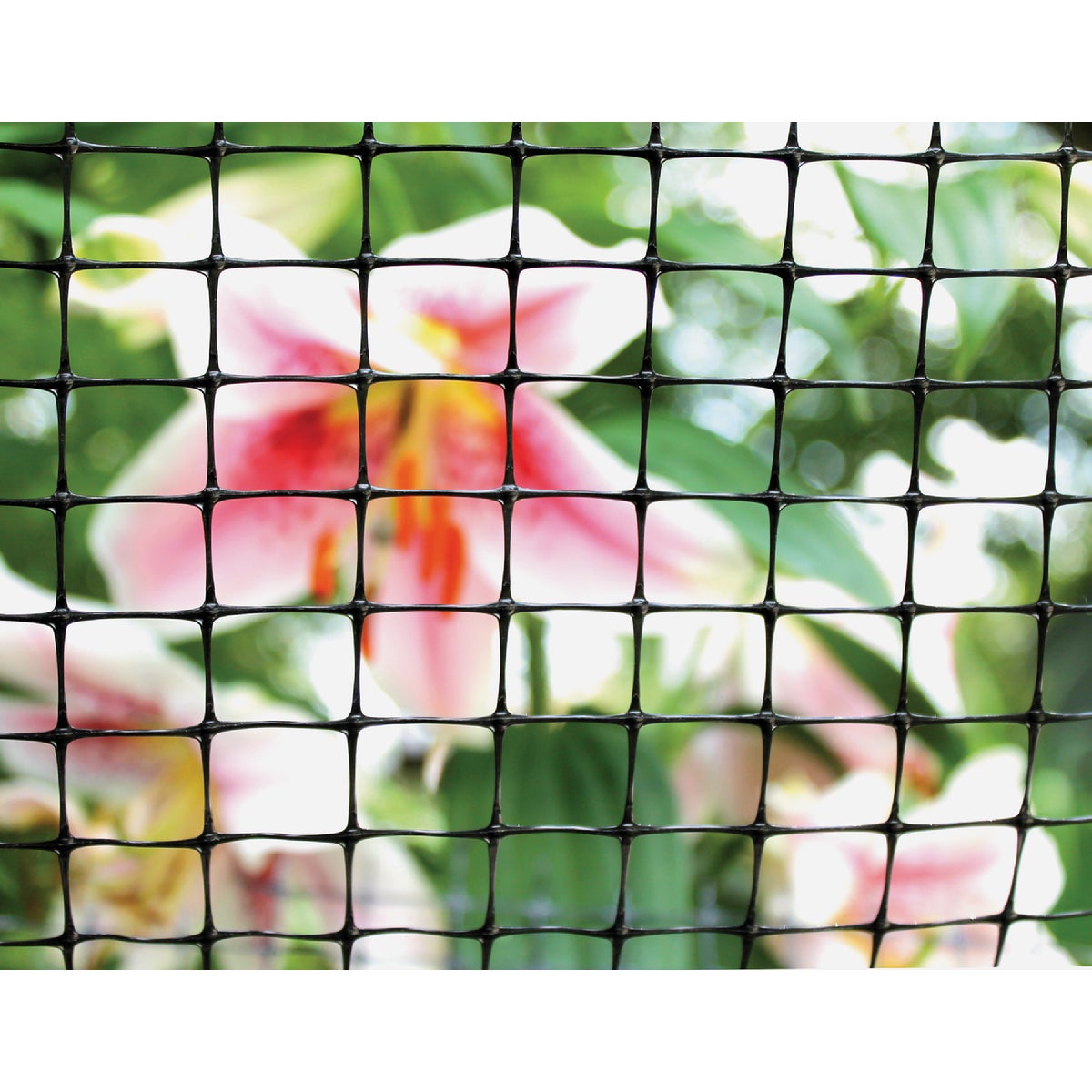 Tenax 3/4 In. x 1 In. Mesh 3 Ft. x 25 Ft. Black Multi-Purpose Net Image 2