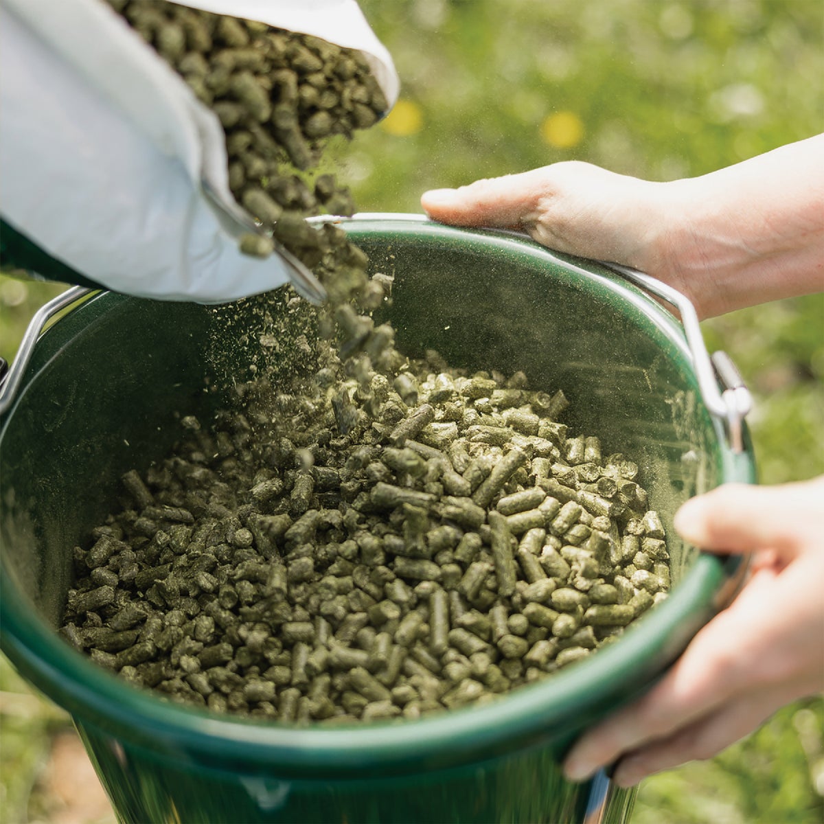 Standlee Premium Western Forage 40 Lb. Certified Timothy Grass Pellets Image 5