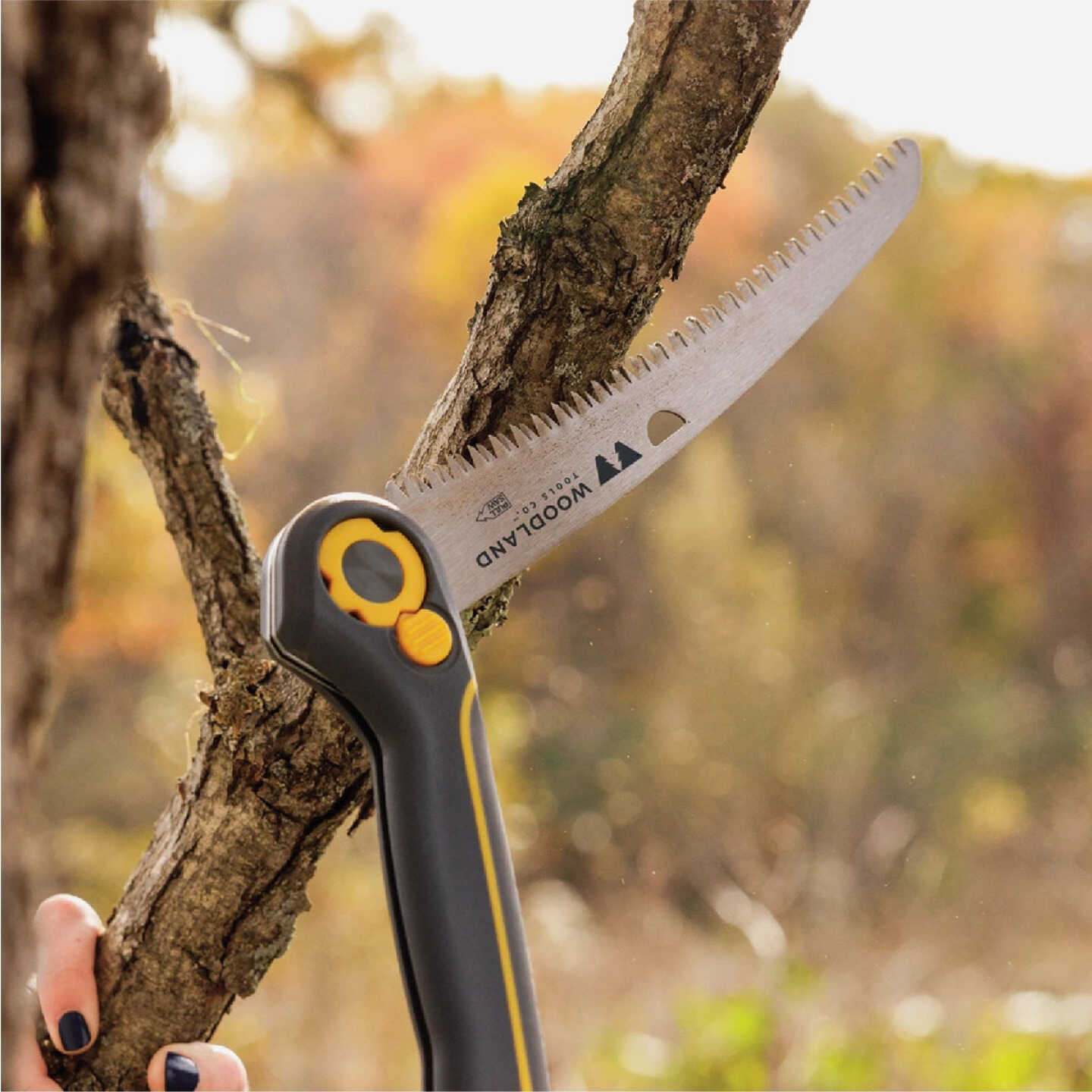 Woodland 10 In. 3-Position Compact Duralight Folding Saw Image 4