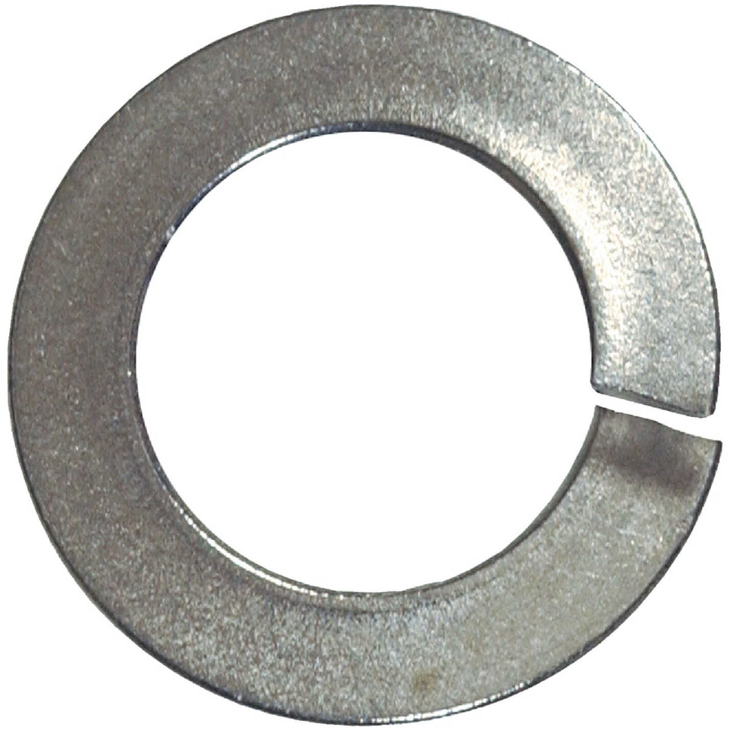 Hillman 5/16 In. Stainless Steel Split Lock Washer (100 Ct.) Image 1
