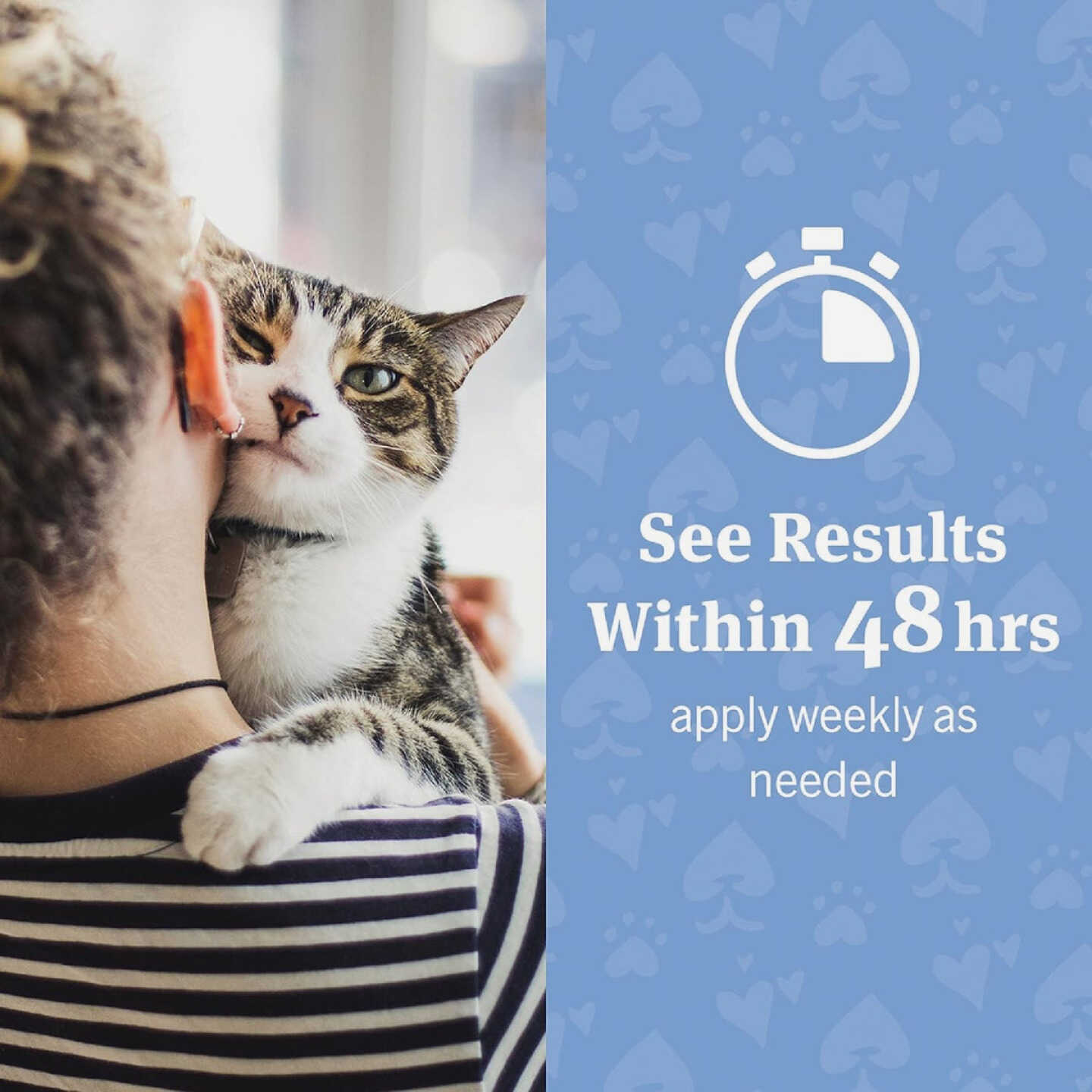 Pet Armor 4 Oz. Ear Rinse for Dogs & Cats Image 4