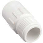 Orbit 3/4 In. MHT x 1/2 In. Slip PVC Hose Adapter Image 1