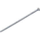 Do it Best 4 In. x 7 ga x 20d Bright Ring Shank Pole Barn Nails (1750-Count, 50 Lb.) Image 1