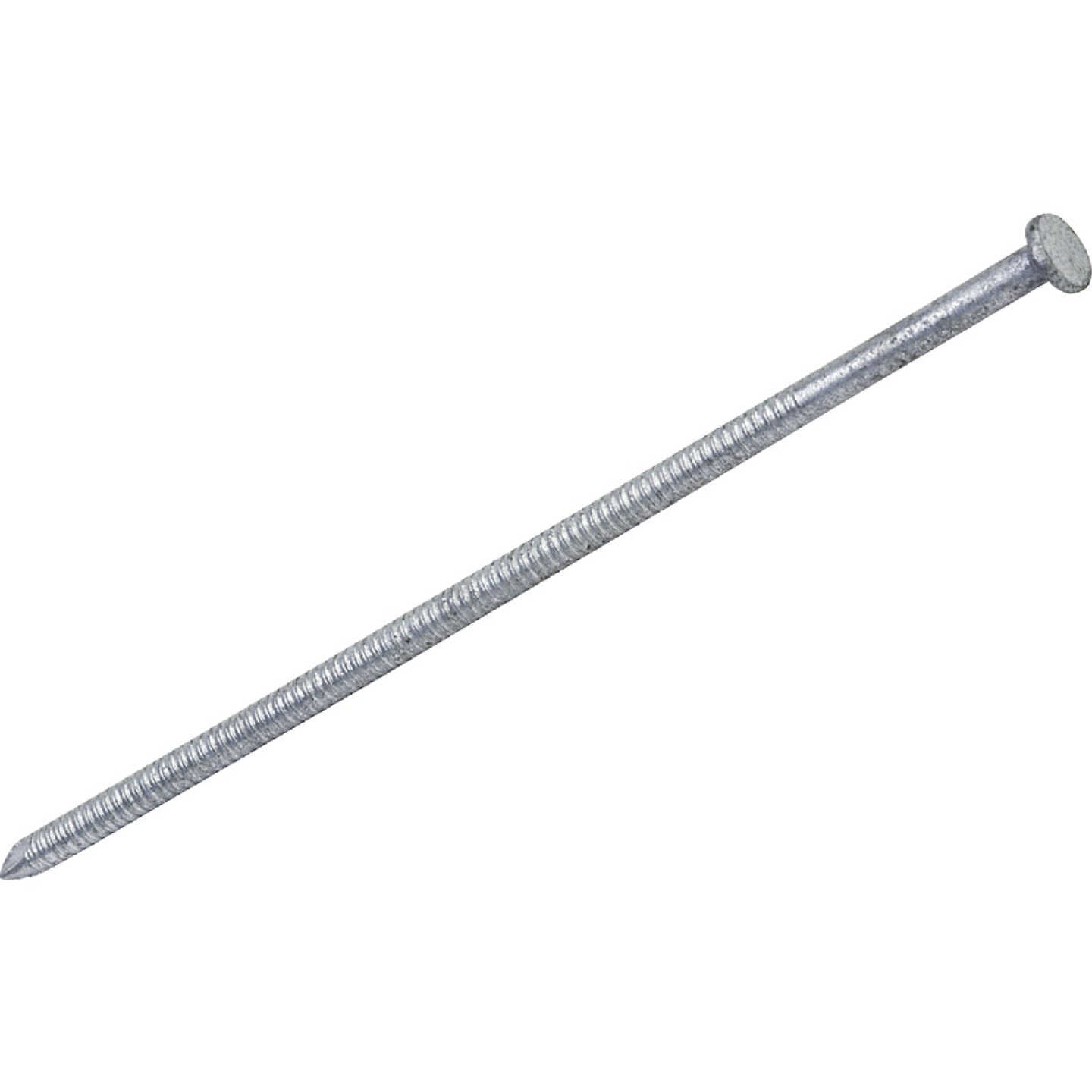 Do it Best 4 In. x 7 ga x 20d Bright Ring Shank Pole Barn Nails (1750-Count, 50 Lb.) Image 1