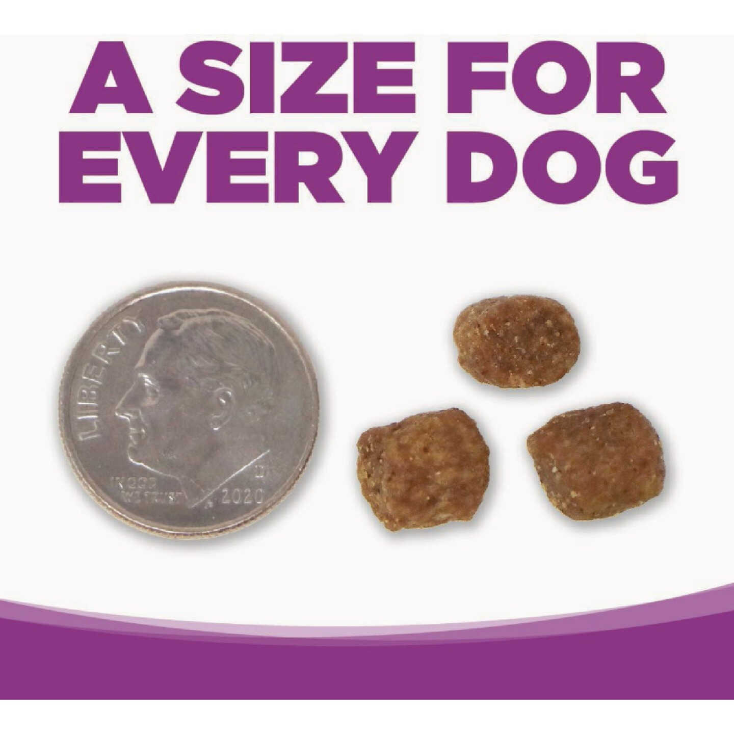 NutriSource 26 Lb. Chicken & Rice Recipe Large Breed Puppy Food Image 2