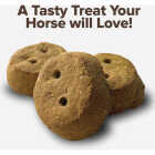 Kent Rounders 30 Oz. Molasses Horse Treats Image 5