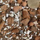 Sol Soils 1 Qt. Succulent Gritty Mix Image 2