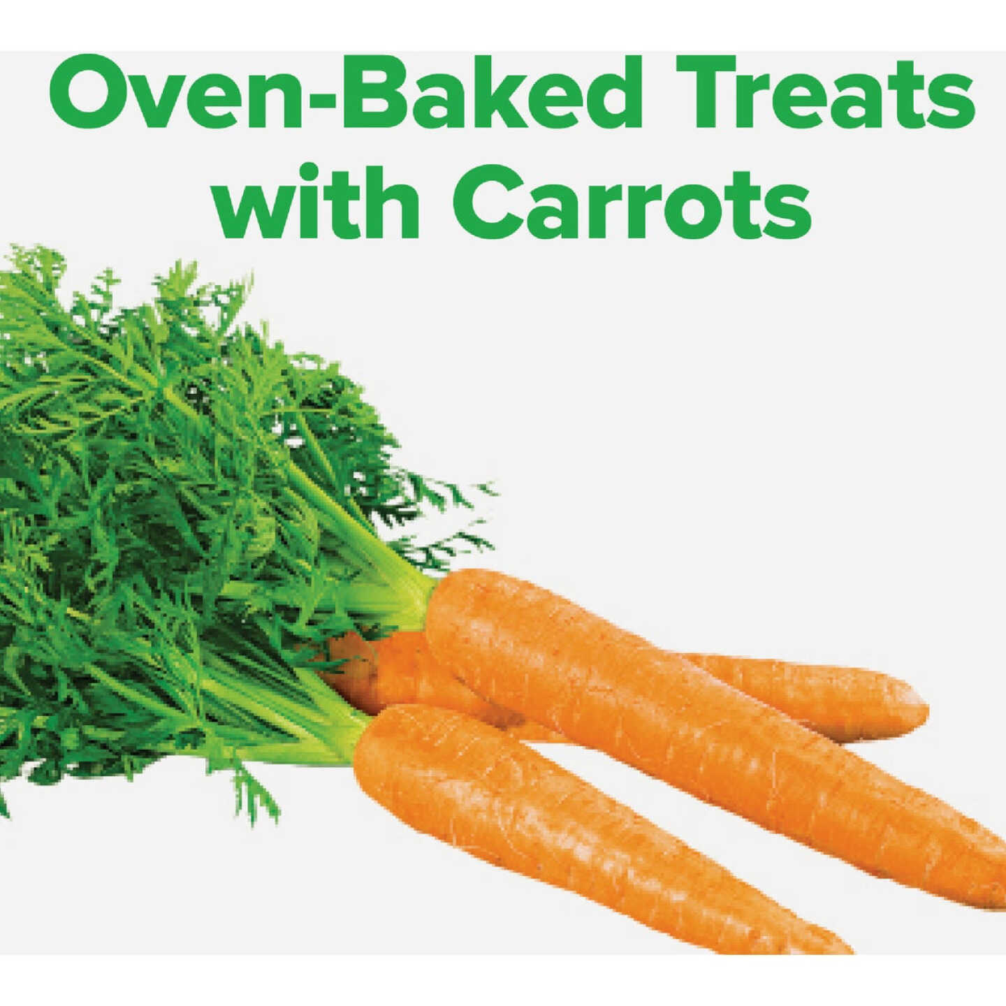 Kent Rounders 30 Oz. Carrot Horse Treats Image 2